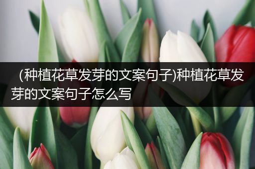 （种植花草发芽的文案句子)种植花草发芽的文案句子怎么写