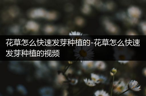 花草怎么快速发芽种植的-花草怎么快速发芽种植的视频