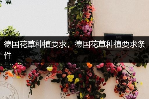 德国花草种植要求，德国花草种植要求条件