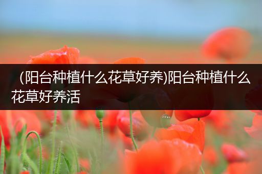 （阳台种植什么花草好养)阳台种植什么花草好养活