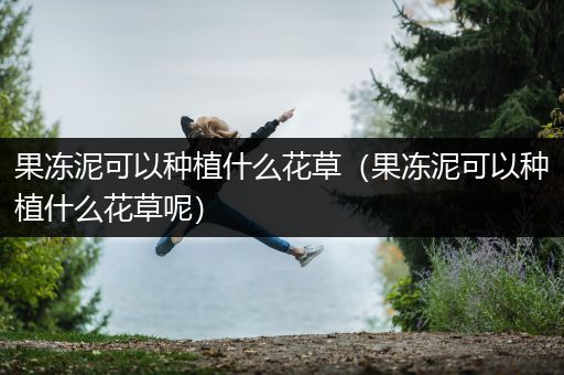 果冻泥可以种植什么花草（果冻泥可以种植什么花草呢）