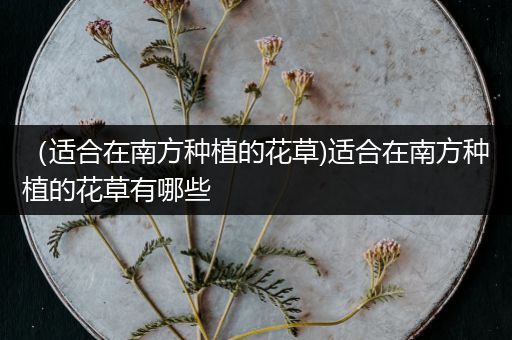 （适合在南方种植的花草)适合在南方种植的花草有哪些