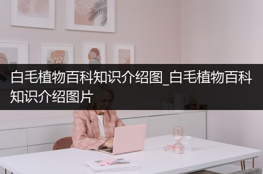 白毛植物百科知识介绍图_白毛植物百科知识介绍图片