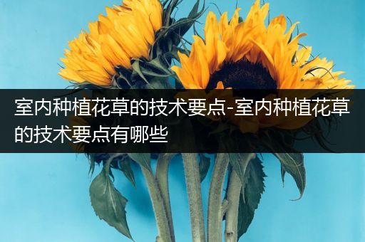室内种植花草的技术要点-室内种植花草的技术要点有哪些