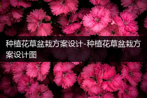 种植花草盆栽方案设计-种植花草盆栽方案设计图
