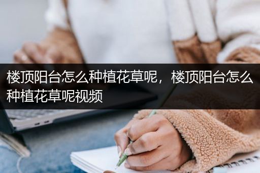 楼顶阳台怎么种植花草呢，楼顶阳台怎么种植花草呢视频
