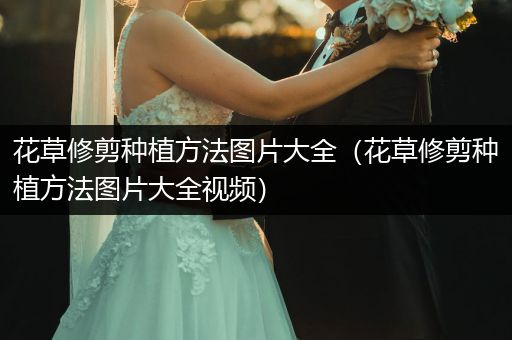 花草修剪种植方法图片大全（花草修剪种植方法图片大全视频）
