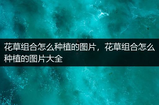 花草组合怎么种植的图片，花草组合怎么种植的图片大全