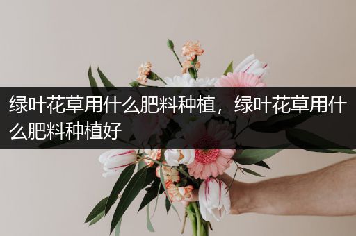 绿叶花草用什么肥料种植，绿叶花草用什么肥料种植好