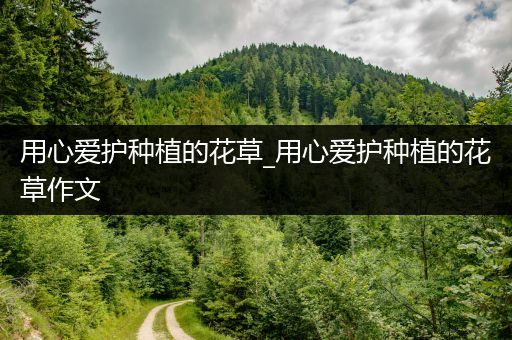 用心爱护种植的花草_用心爱护种植的花草作文