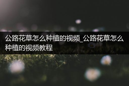 公路花草怎么种植的视频_公路花草怎么种植的视频教程