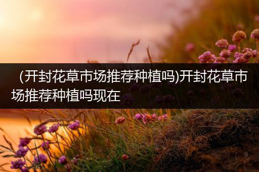 （开封花草市场推荐种植吗)开封花草市场推荐种植吗现在