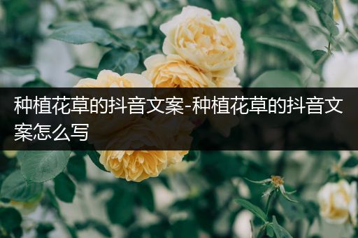 种植花草的抖音文案-种植花草的抖音文案怎么写