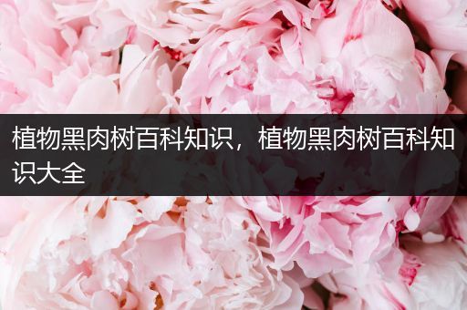 植物黑肉树百科知识，植物黑肉树百科知识大全