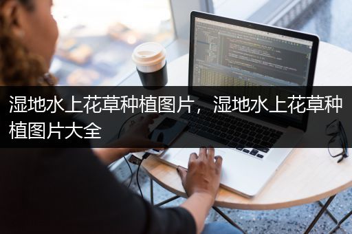 湿地水上花草种植图片，湿地水上花草种植图片大全
