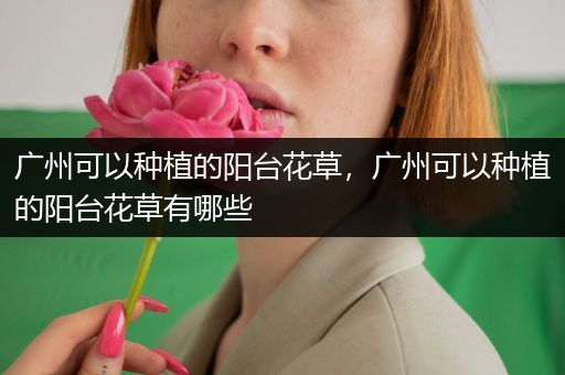 广州可以种植的阳台花草，广州可以种植的阳台花草有哪些