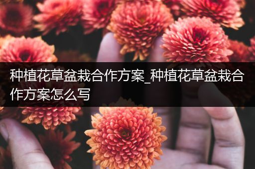 种植花草盆栽合作方案_种植花草盆栽合作方案怎么写