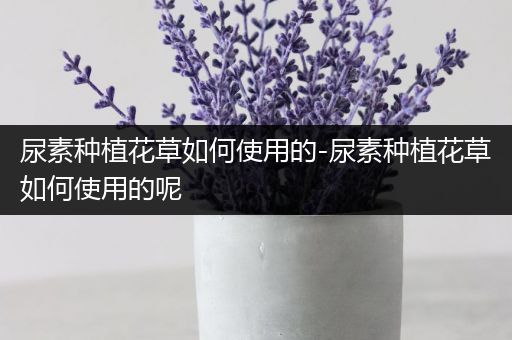 尿素种植花草如何使用的-尿素种植花草如何使用的呢