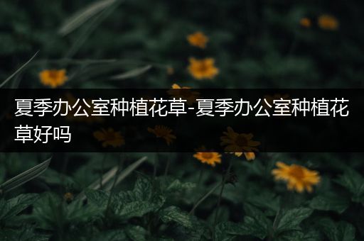 夏季办公室种植花草-夏季办公室种植花草好吗