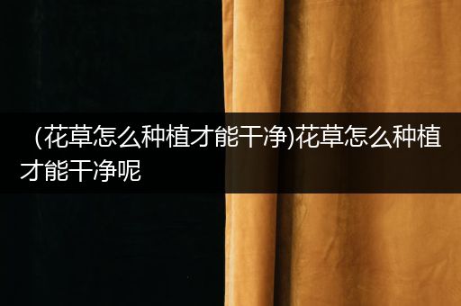 （花草怎么种植才能干净)花草怎么种植才能干净呢