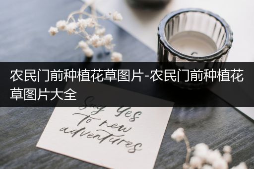 农民门前种植花草图片-农民门前种植花草图片大全