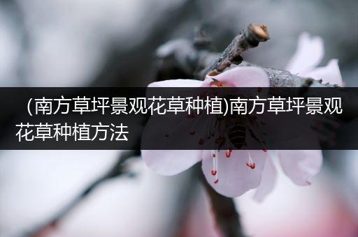 （南方草坪景观花草种植)南方草坪景观花草种植方法