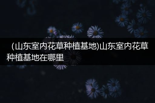 （山东室内花草种植基地)山东室内花草种植基地在哪里