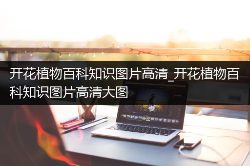 开花植物百科知识图片高清_开花植物百科知识图片高清大图