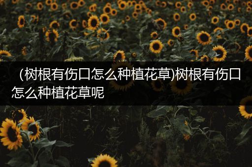 （树根有伤口怎么种植花草)树根有伤口怎么种植花草呢