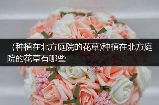 （种植在北方庭院的花草)种植在北方庭院的花草有哪些
