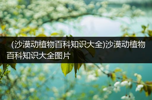 （沙漠动植物百科知识大全)沙漠动植物百科知识大全图片