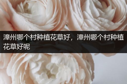 漳州哪个村种植花草好，漳州哪个村种植花草好呢