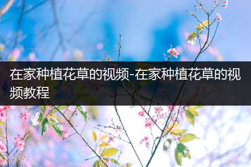 在家种植花草的视频-在家种植花草的视频教程