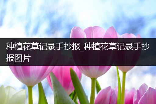 种植花草记录手抄报_种植花草记录手抄报图片