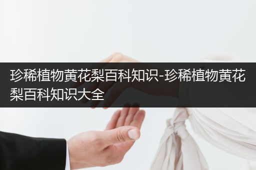 珍稀植物黄花梨百科知识-珍稀植物黄花梨百科知识大全