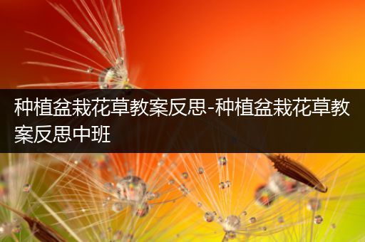 种植盆栽花草教案反思-种植盆栽花草教案反思中班