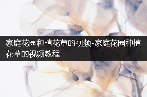 家庭花园种植花草的视频-家庭花园种植花草的视频教程