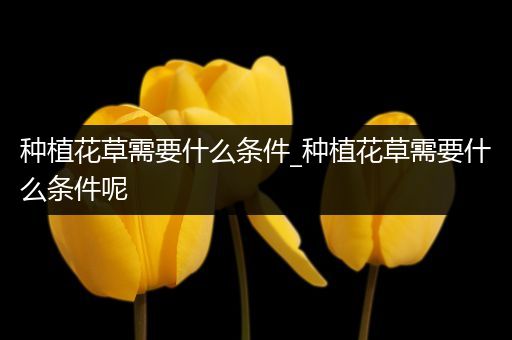种植花草需要什么条件_种植花草需要什么条件呢
