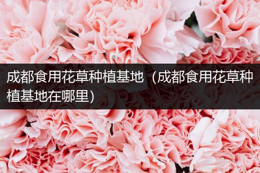 成都食用花草种植基地（成都食用花草种植基地在哪里）