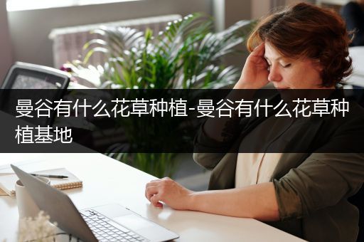 曼谷有什么花草种植-曼谷有什么花草种植基地