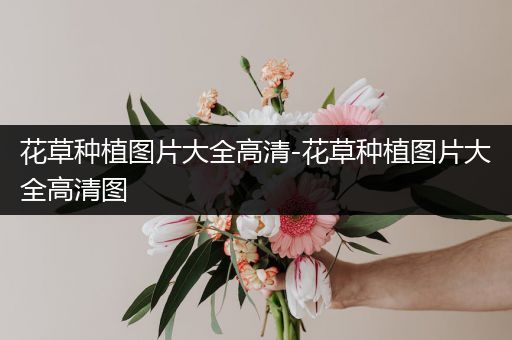 花草种植图片大全高清-花草种植图片大全高清图