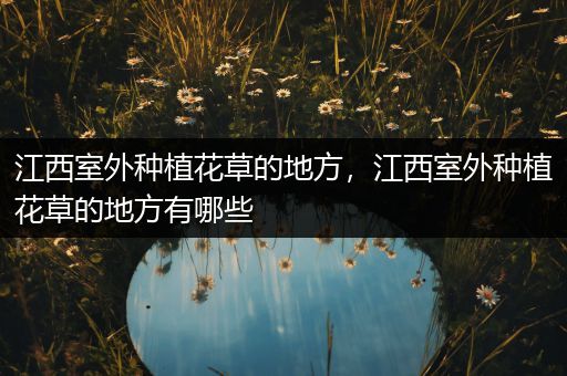 江西室外种植花草的地方，江西室外种植花草的地方有哪些