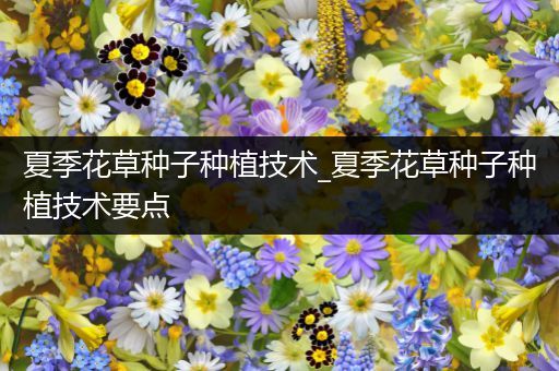 夏季花草种子种植技术_夏季花草种子种植技术要点
