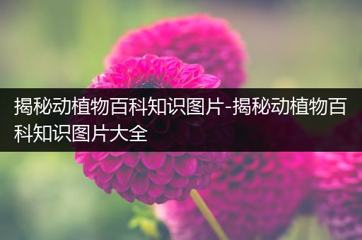揭秘动植物百科知识图片-揭秘动植物百科知识图片大全