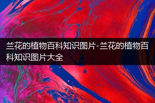 兰花的植物百科知识图片-兰花的植物百科知识图片大全