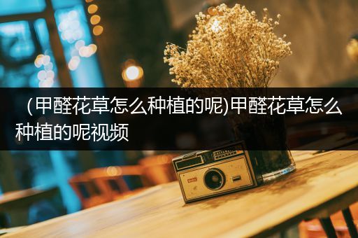 （甲醛花草怎么种植的呢)甲醛花草怎么种植的呢视频