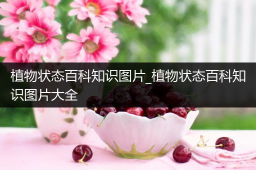 植物状态百科知识图片_植物状态百科知识图片大全