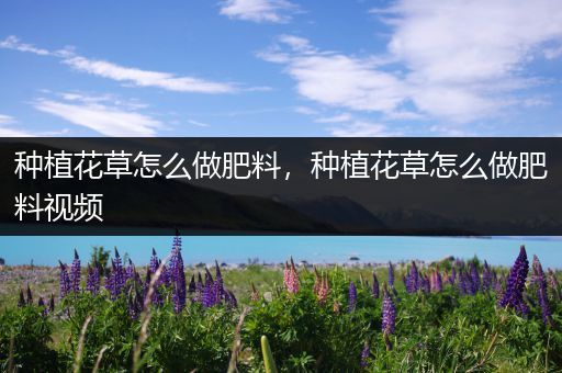 种植花草怎么做肥料，种植花草怎么做肥料视频
