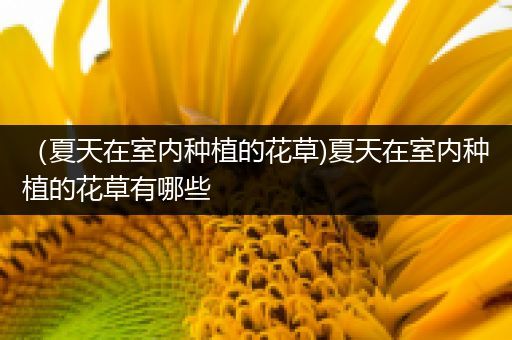 （夏天在室内种植的花草)夏天在室内种植的花草有哪些