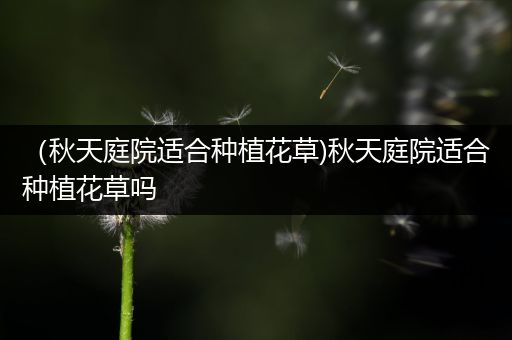 （秋天庭院适合种植花草)秋天庭院适合种植花草吗